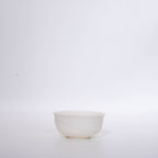 Daily Wide Belted Cup
